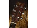Martin DX1